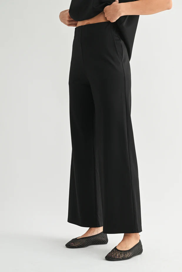 A model wearing black wide-leg pants with black flat shoes, shown from the waist down against a light gray studio background.