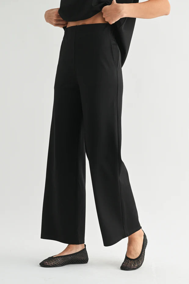 A woman wearing black wide-leg pants on a white background