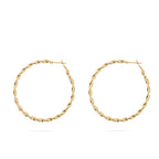 Gold twisted hoop earrings on a white background