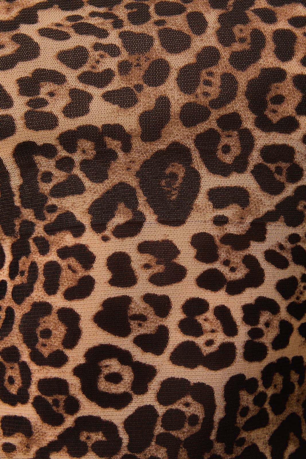 Animal Print Mesh Top-Black Taupe
