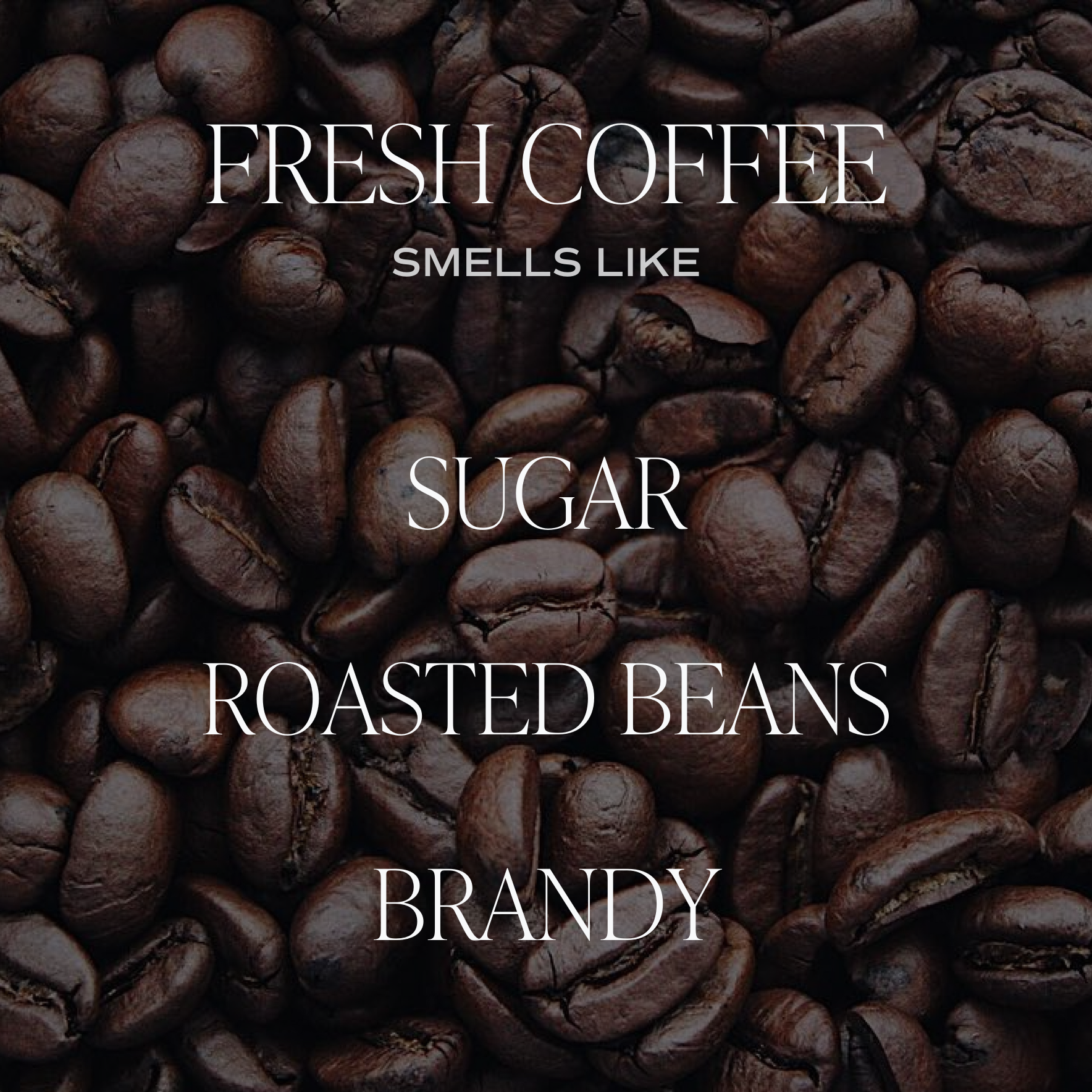 Soy Candle-Fresh Coffee