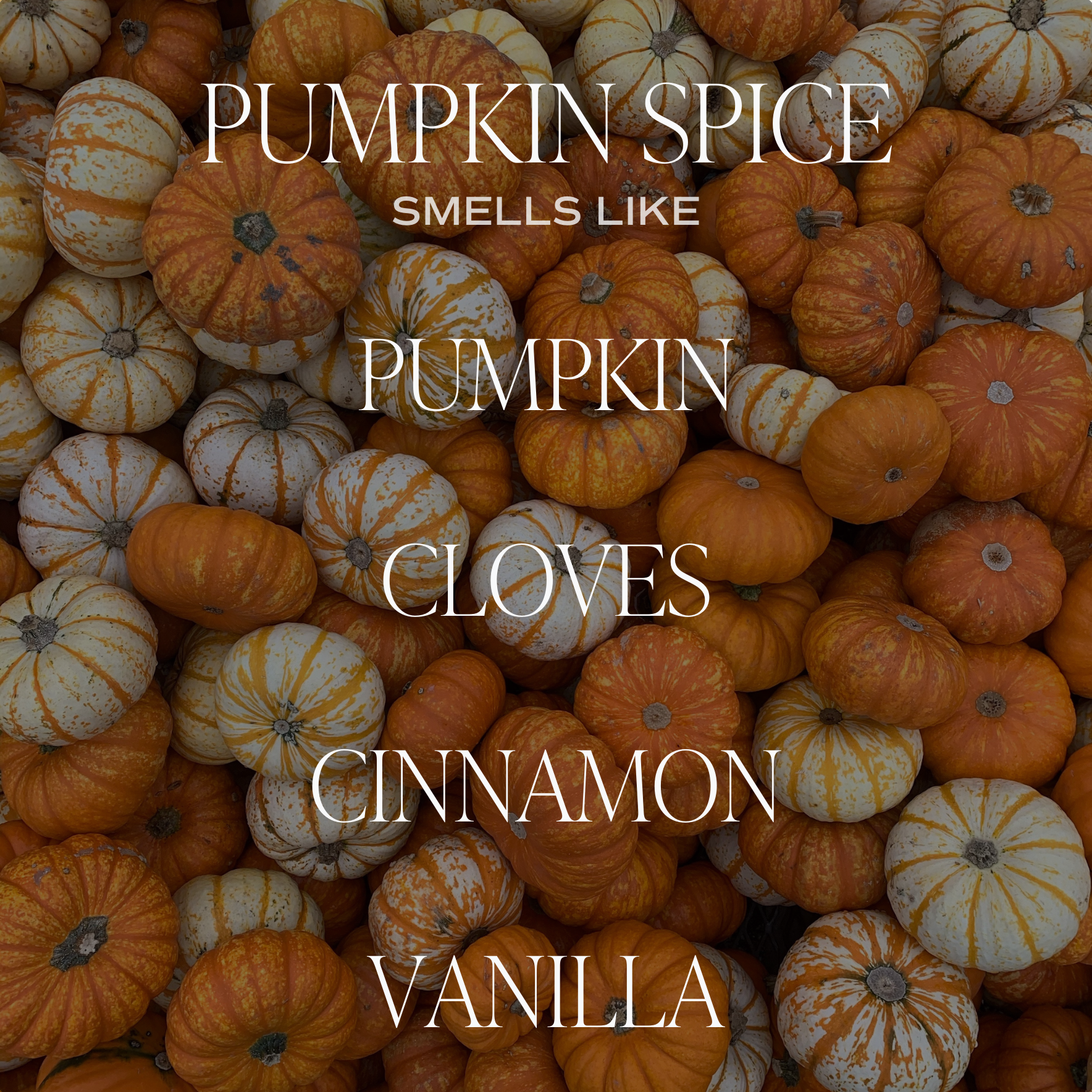 Soy Candle-Pumpkin Spice