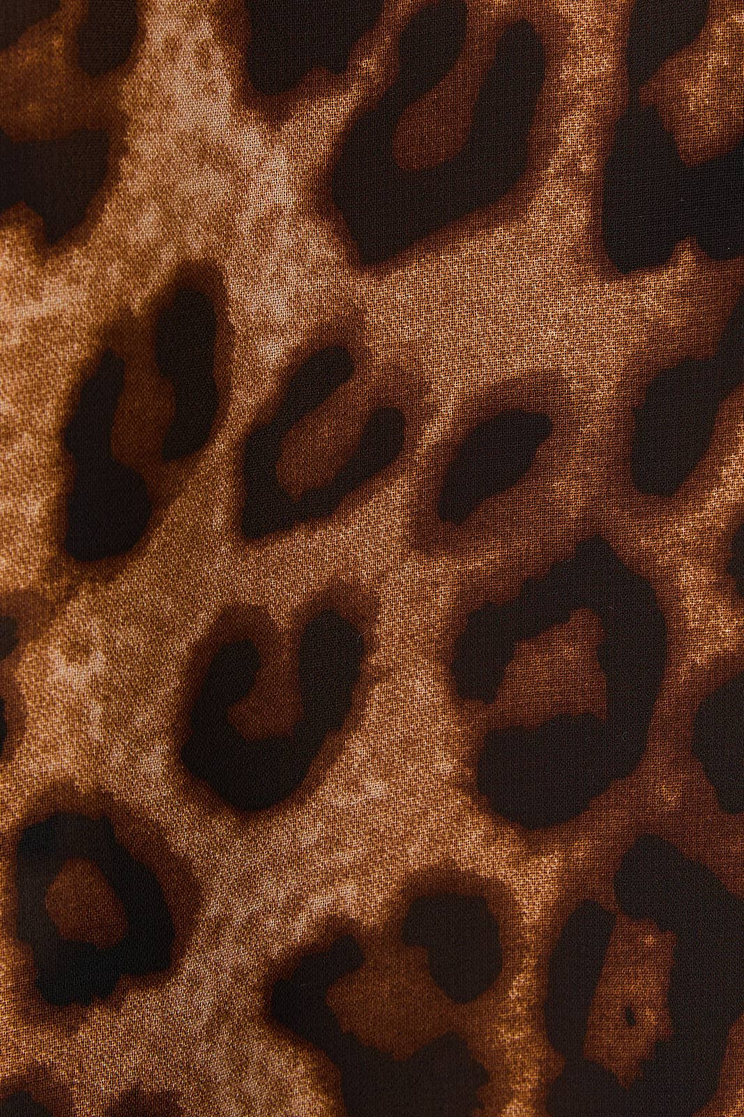 Close-up of a leopard print fabric